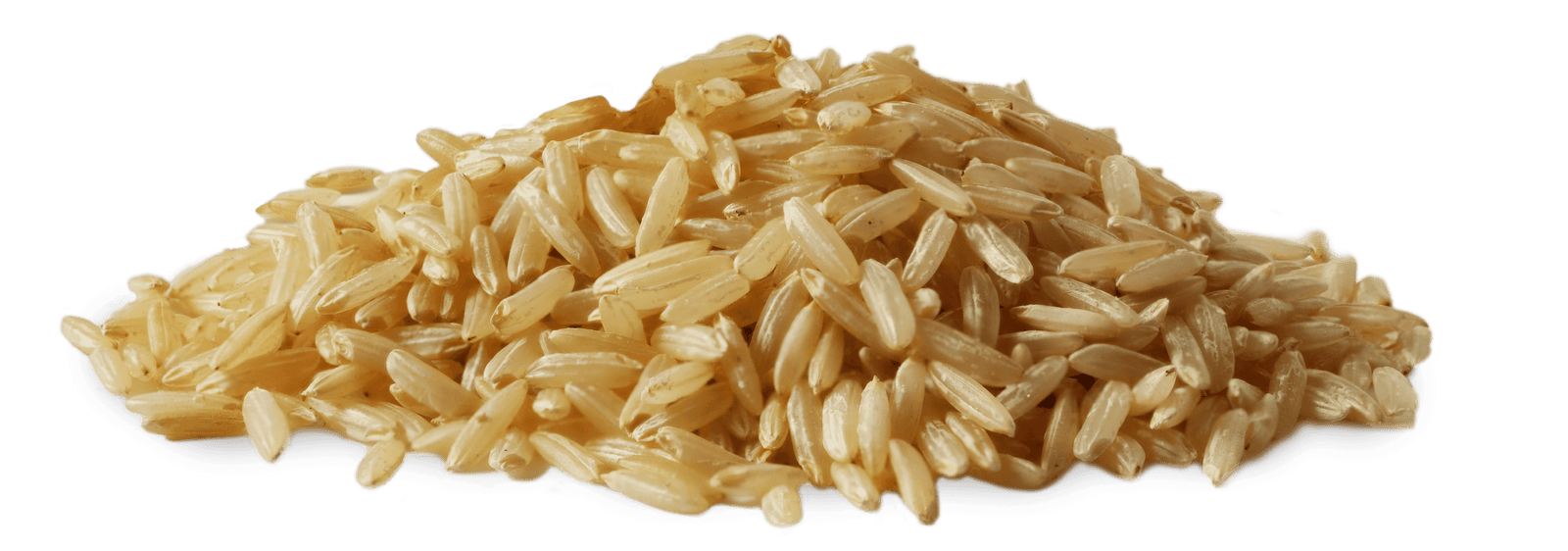 Ingredient #2