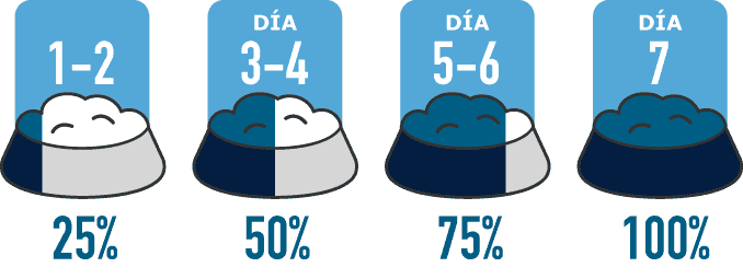 Transicion