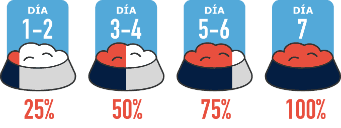 Transicion