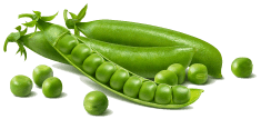 Ingredient #4